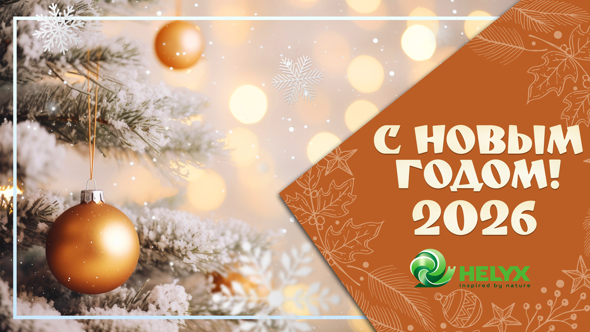 С наступающим Новым годом 2026